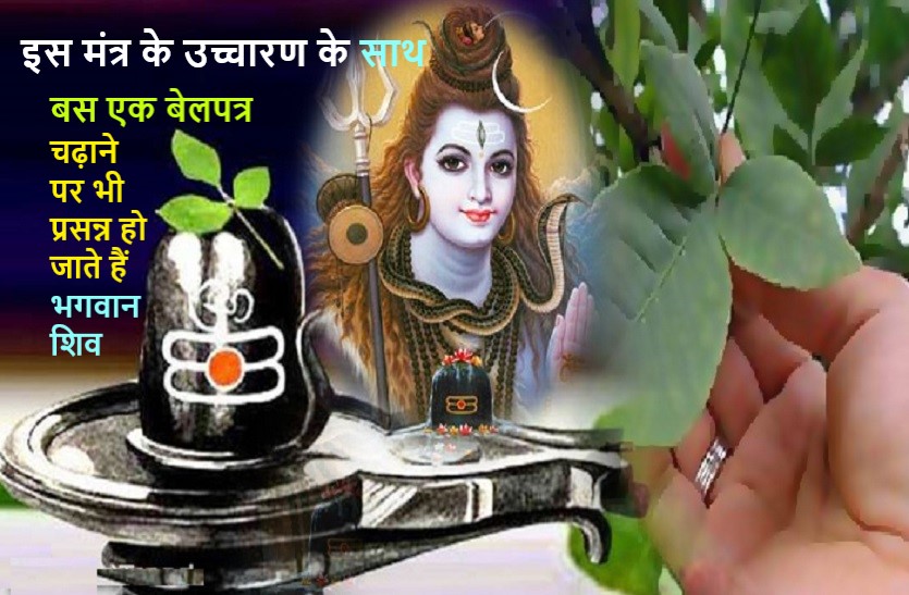 BELPATRA importance on lord shiv in sawan | सावन 2020: बेलपत्र का रहस्य और जानिये शिव पूजा में क्यों बेहद महत्वपूर्ण है ये तीन पत्तियों का बेलपत्र | Patrika News
