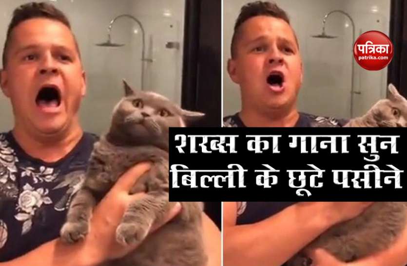 billi1.jpg शख्स का गाना सुनकर बिल्ली हुई खफा, मुंह बनाते हुए वीडियो हुआ वायरल