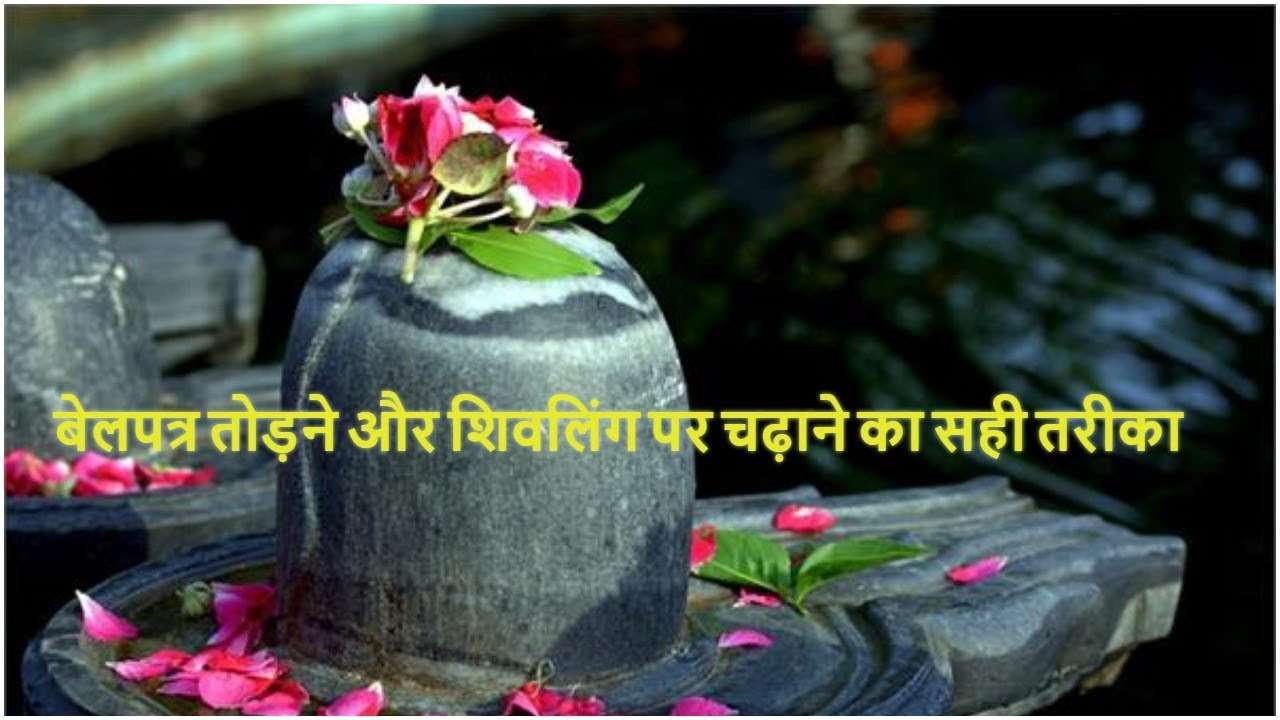 BELPATRA importance on lord shiv in sawan