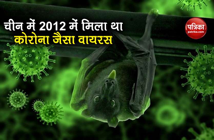 Coronavirus ancestor seven years ago bat infested China say scientist Coronavirus: चीन में 2012 में मिला था कोरोना जैसा वायरस, लोगों की हुई मौत, वैज्ञानिकों का खुलासा