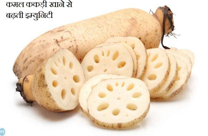 Lotus Root Is Super Food Its Boost Immunity Super Food Increasing Immunity By Eating Lotus Cucumber