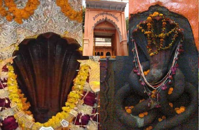 https://www.patrika.com/temples/how-to-become-free-from-kaalsarp-dosh-6258492/