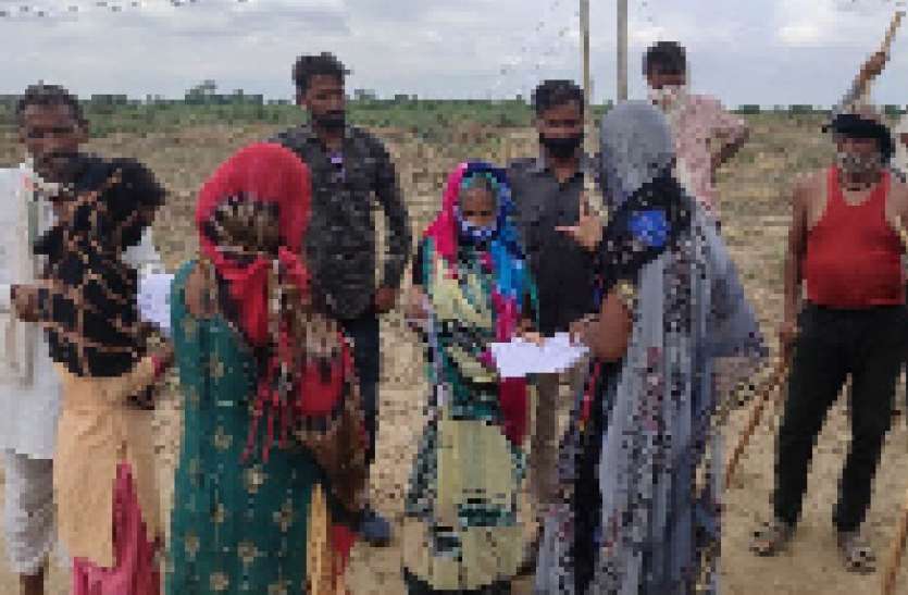 नरेगा में बदली जमीन की तस्वीर नरेगा में बदली जमीन की तस्वीर