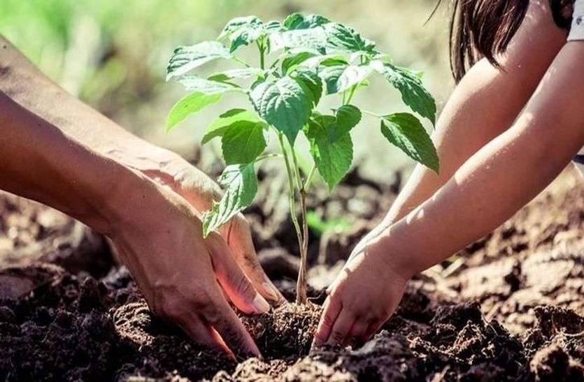 greenery हरियाली का जुनून, 17 के लक्ष्य में तैयार कर दिए 20 लाख पौधे