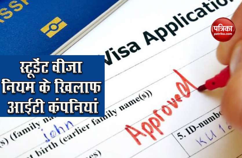 US Student Visa Google, Facebook और Microsoft समेत 12 कंपनियों ने खटखटाया कोर्ट का दरवाजा, नहीं रास आ रहे अमेरिकी वीजा नियम