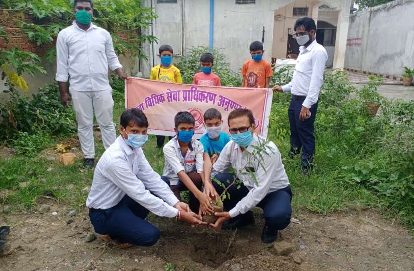 The judge said that the effect of cutting of trees was visible on the न्यायाधीश ने कहा वृक्षों की कटाई का पर्यावरण पर दिख रहा असर, बच्चों के साथ किया पौधारोपण