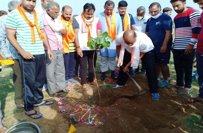 एक ही दिन में कहां पर लगे 6 हजार से अधिक पौधे एक ही दिन में कहां पर लगे 6 हजार से अधिक पौधे