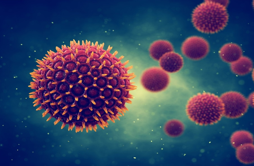 मुझे भर्ती करो नहीं तो फैला दूंगा Coronavirus, मरीजों की ऐसी दुर्दशा, राजभवन के कईं कर्मी पॉजिटिव मुझे भर्ती करो नहीं तो फैला दूंगा Coronavirus, मरीजों की ऐसी दुर्दशा, राजभवन के कईं कर्मी पॉजिटिव