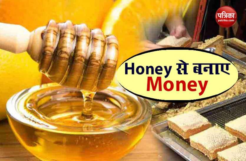 honey business Honey Business के लिए मोदी सरकार देगी मदद, महीने में होगी 1 लाख की कमाई