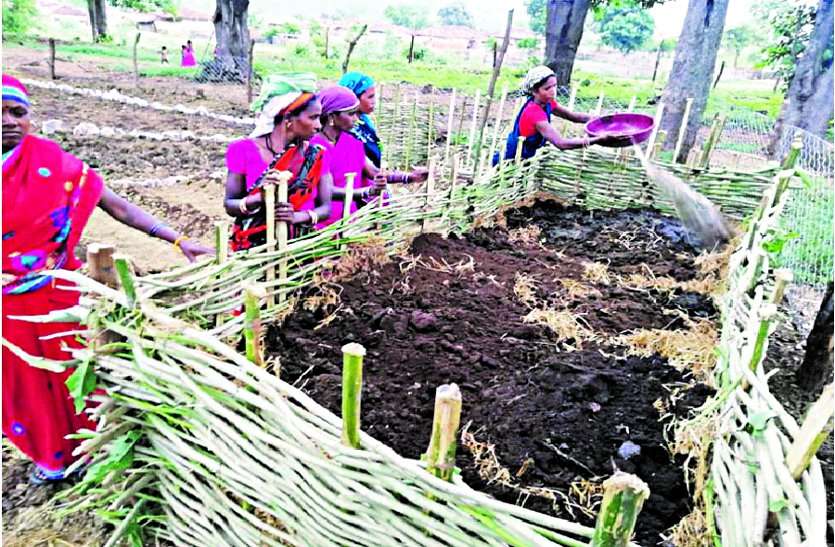 The women of self-help groups adopted innovation by creating nadep tanks from natural sources ... स्वयं सहायता समूह की महिलाओं ने नवाचार अपनाकर प्राकृतिक स्त्रोतों से बनाया नाडेप टैंक ...