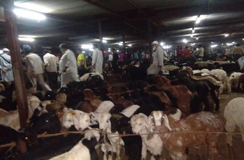 Mumbai News : बकरीद के लिए गाइड लाइन का इंतजार, मुस्लिम समुदाय बेकरार Mumbai News : बकरीद के लिए गाइड लाइन का इंतजार, मुस्लिम समुदाय बेकरार