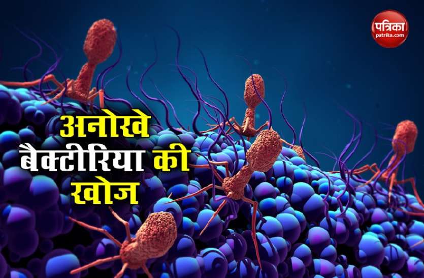 bacteria1.jpg वैज्ञानिकों को मिला धातु खाने वाला अनोखा बैक्टीरिया, जार में लगी काई से हुई इसकी खोज