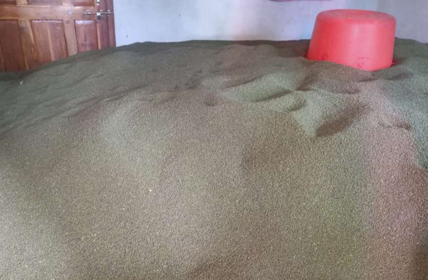 लॉकडाउन में किसानों ने तैयार किया 857 करोड़ का आर्थिक चक्र, समर्थन मूल्य न मिलने से घाटा भी उठाया लॉकडाउन में किसानों ने तैयार किया 857 करोड़ का आर्थिक चक्र, समर्थन मूल्य न मिलने से घाटा भी उठाया
