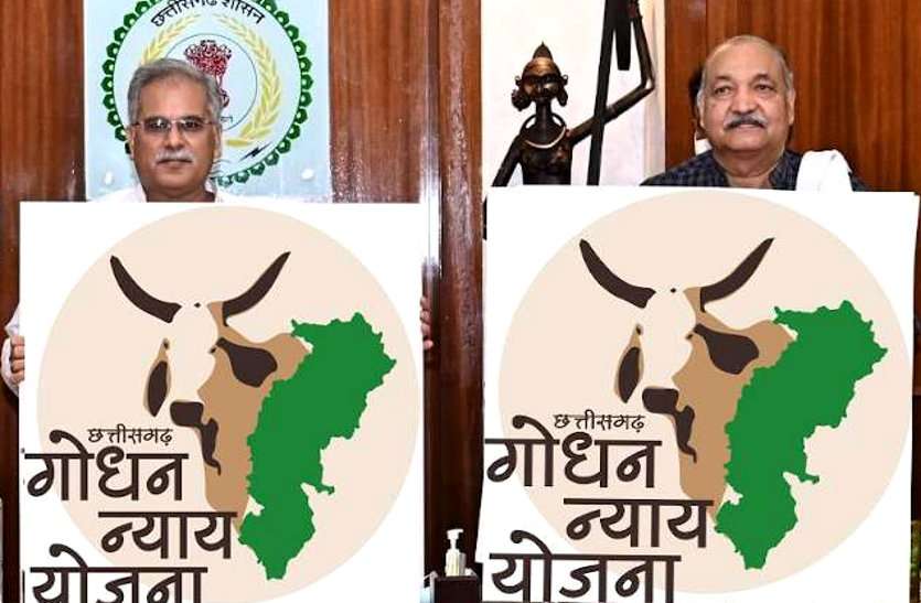 अपने निर्वाचन क्षेत्र पाटन से CM बघेल करेंगे 30 पंचायतों में गोधन न्याय योजना की 20 जुलाई को शुरूआत अपने निर्वाचन क्षेत्र पाटन से CM बघेल करेंगे 30 पंचायतों में गोधन न्याय योजना की 20 जुलाई से शुरूआत