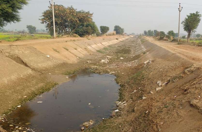 गुडगांवा कैनाल में पानी नहीं आने से सूखने लगी फसल, हरियाणा सरकार समझौते की नहीं कर रही पालना गुडगांवा कैनाल में पानी नहीं आने से सूखने लगी फसल, हरियाणा सरकार समझौते की नहीं कर रही पालना