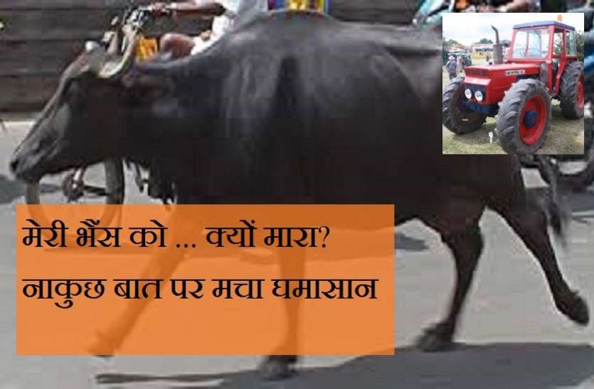 मेरी भैंस को ... क्यों मारा? नाकुछ बात पर बूंदी जिले के एक गांव में मचा घमासान मेरी भैंस को ... क्यों मारा? नाकुछ बात पर बूंदी जिले के एक गांव में मचा घमासान