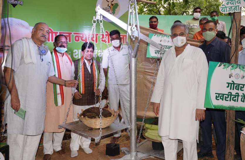 cg_govt.jpg हरेली पर्व पर गोधन न्याय योजना आज से शुरू, 2 रुपए किलो की दर से गोबर खरीदेगी सरकार