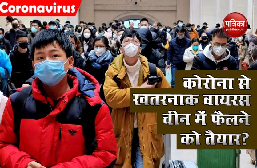 China risking new pandemic even more deadly than COVID19 China में फैल सकता है Corona से भी खतरनाक Virus, जानिए इंसानों के लिए कितना खतरनाक?