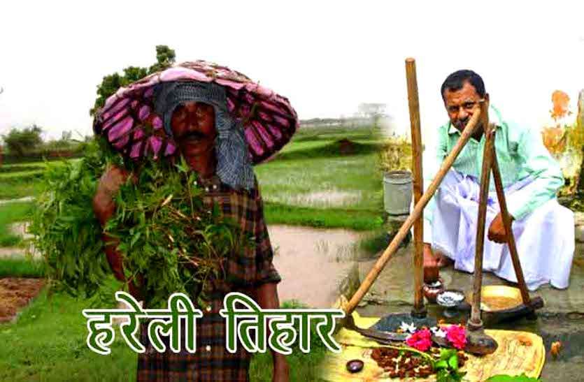 छत्तीसगढ़ के पारंपरिक हरेली त्योहार पर किसानों ने की कृषि औजारों की पूजा, गोवंश को खिलाया औषधि युक्त लोंदी छत्तीसगढ़ के पारंपरिक हरेली त्योहार पर किसानों ने की कृषि औजारों की पूजा, गोवंश को खिलाया औषधि युक्त लोंदी