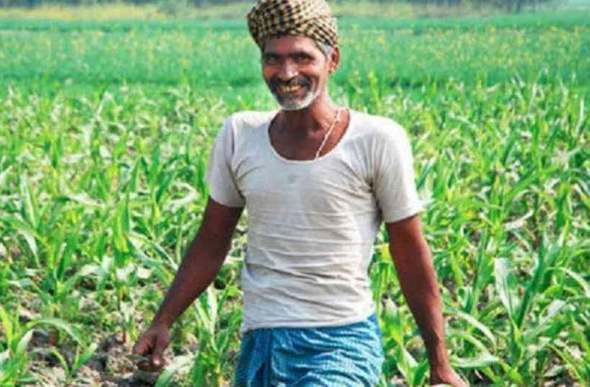 किसानों के लिए एडवाइजरी जारी किसानों के लिए एडवाइजरी जारी : बताएंगे कैसे उपजाऊ जमीन तैयार कर सकेंगे