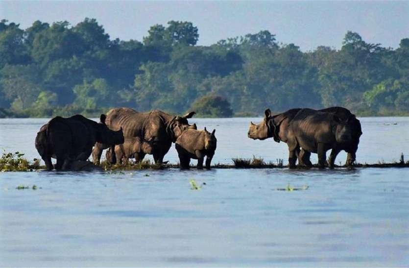 संयुक्त राष्ट्रसंघ ने असम में बाढ़ की विभीषिका में मदद के लिए बढ़ाया हाथ संयुक्त राष्ट्रसंघ ने असम में बाढ़ की विभीषिका में मदद के लिए बढ़ाया हाथ