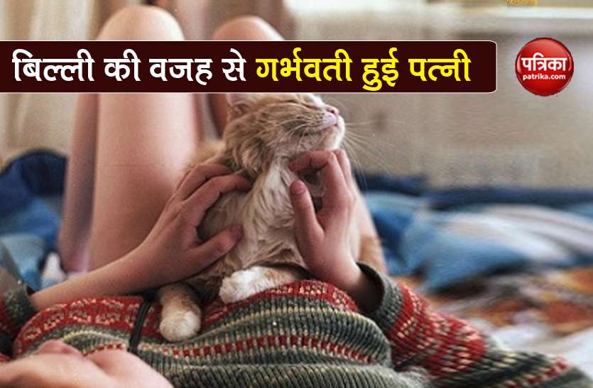 Husband Blames Cat For Getting Wife Pregnant In Lockdown प लत ब ल ल क इस शर रत स पत न ह गई प र ग न ट पत क पत चल त उड गए ह श Patrika News