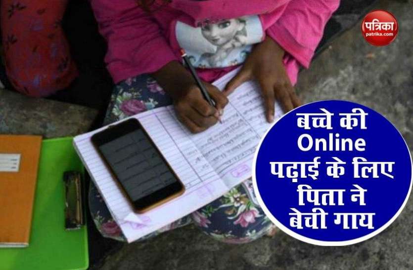 Father sell cow for children Online study बच्चों की Online पढ़ाई के लिए चाहिए था Smart Phone, बेबस पिता ने बेच दी अपनी गाय