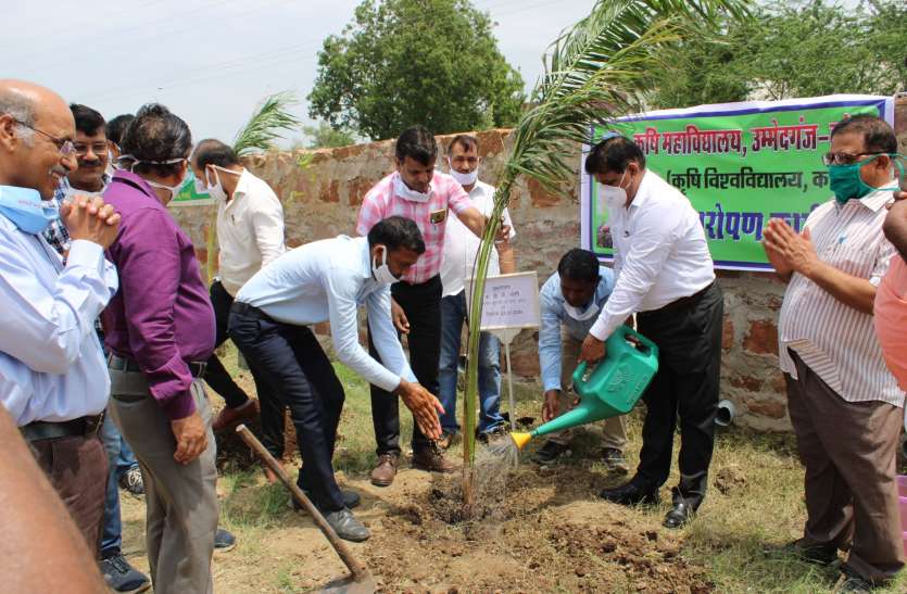 कोरोना काल में किसान कैसे अधिक उत्पादन ले सकते हैं, विशेषज्ञों ने किया मंथन कोरोना काल में किसान कैसे अधिक उत्पादन ले सकते हैं, विशेषज्ञों ने किया मंथन