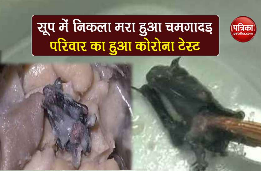 Coronavirus dead bats in soup while eating in china wuhan Coronavirus: दो दिन तक पीते रहे चमगादड़ वाला सूप, जानें फिर परिवार के साथ क्या हुआ?