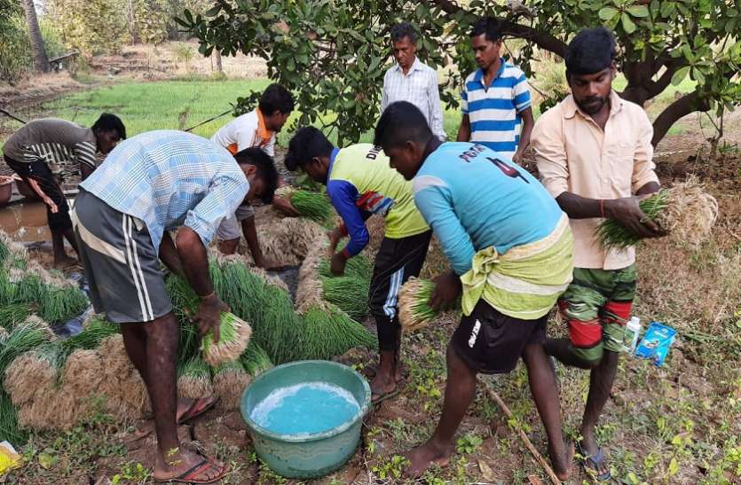 Mumbai News : प्राथमिक विधायक के शिक्षक का कमाल, सुर्खियों में नौनिहाल, अभिभावकों को रोजगार Mumbai News : प्राथमिक विद्यालय के शिक्षक का कमाल, सुर्खियों में नौनिहाल, अभिभावकों को रोजगार