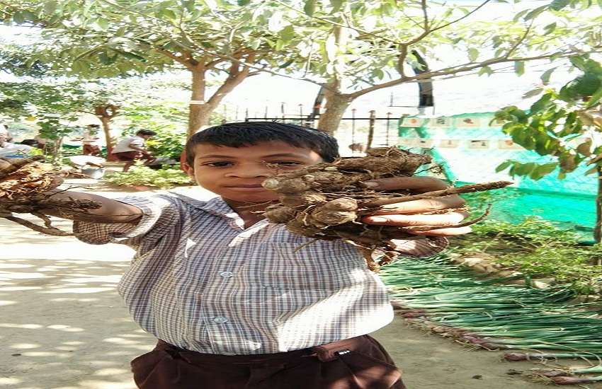 Mumbai News : प्राथमिक विधायक के शिक्षक का कमाल, सुर्खियों में नौनिहाल, अभिभावकों को रोजगार