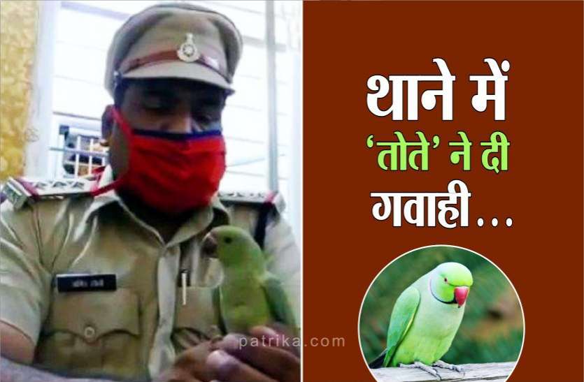 photo6111735215668963975.jpg इस 'तोते' ने पिंजरे से फरार होकर दो परिवारों में करा दी जंग, पुलिस ने थाने में बुलाया 'तोता'