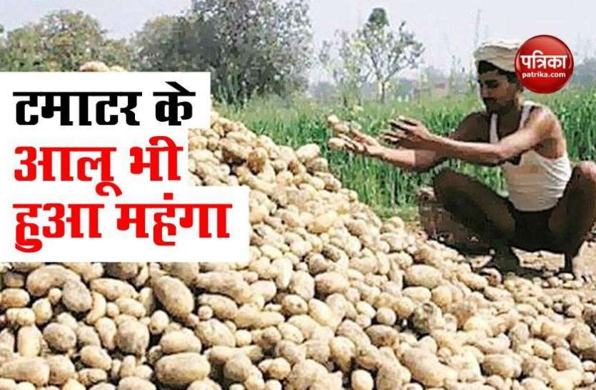 Potatoes Price Rise Tomato के बाद अब Potato हुआ महंगा, Green Vegetable के दाम में भी इजाफा, जानिए जुलाई में कितनी बढ़ा Inflation