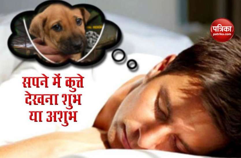 dog1.jpg अगर सपने में दिखे रोते या लड़ते हुए कुत्ते तो जान लें इनका मतलब, कहीं अनहोनी का तो नहीं संकेत!