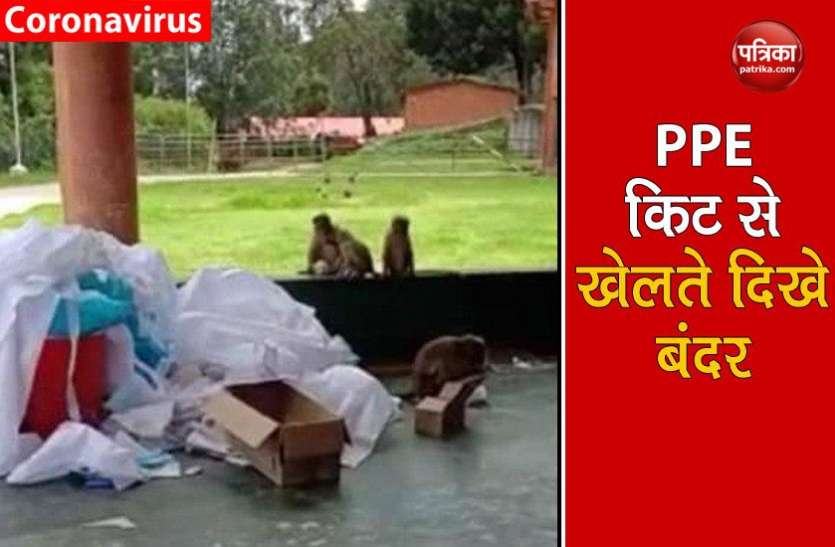 ppe_kit1.jpg COVID-19 Center में नियमों की उड़ी धज्जियां, PPE Kit से खेलते नजर आए बंदर, वीडियो वायरल