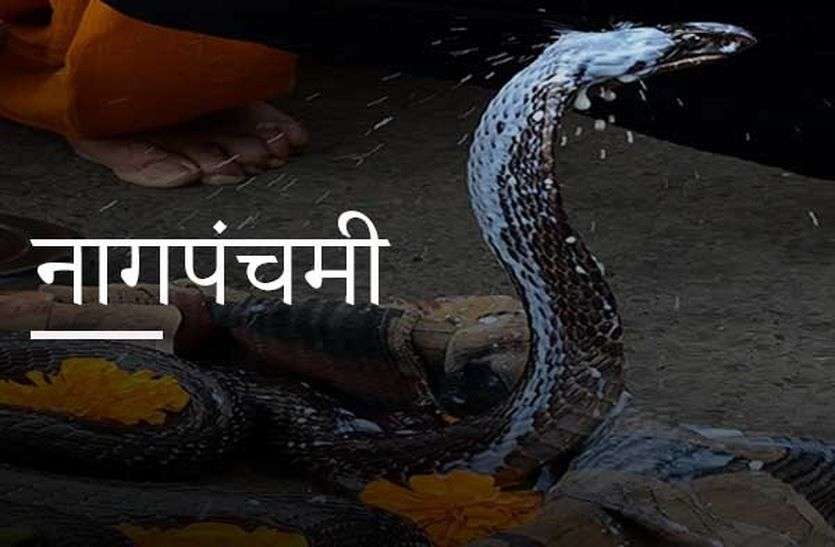 नाग पंचमी 2020 : शुभ मुहूर्त, व्रत विधि, पूजा नाग पंचमी 2020 : शुभ मुहूर्त, व्रत विधि, पूजा