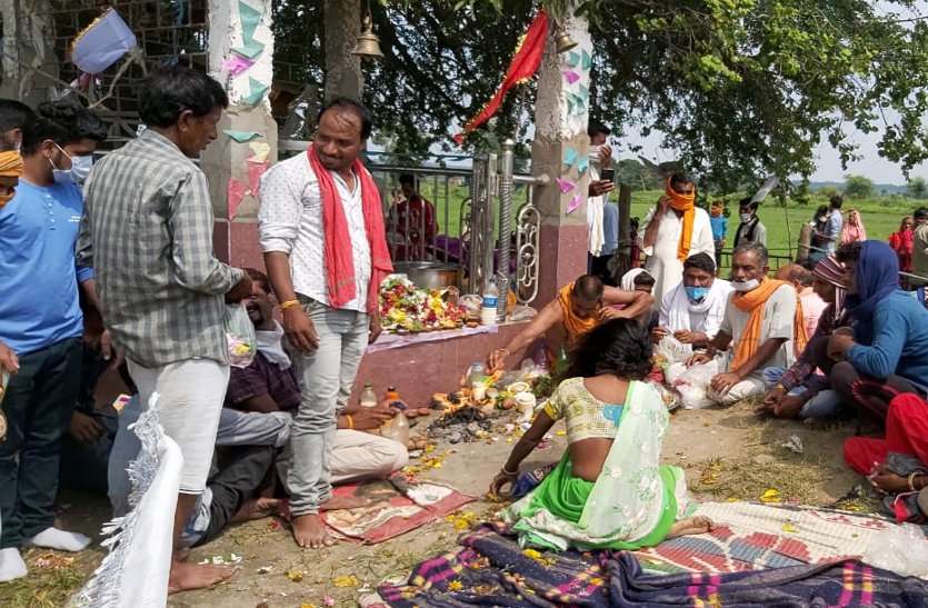 नागों ने अदालत में बताया क्यों डसा था पीडि़त को नागों ने अदालत में बताया क्यों डसा था पीडि़त को