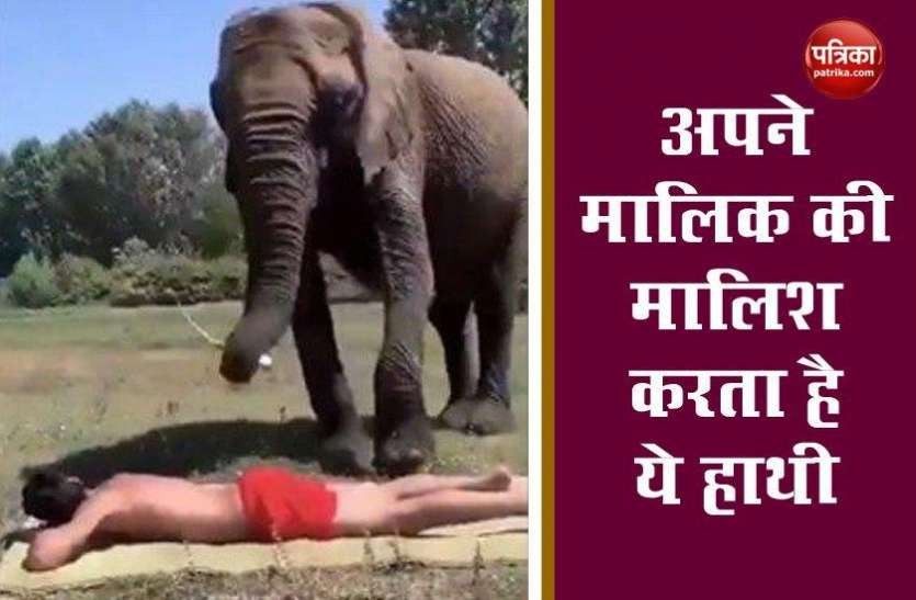 elephant_giving_a_massage_to_its_human_friend.jpg हाथी ने शख्स को दिया Foot massage, तेल लगाकर किया पूरे पीठ की मालिश, देखें Video