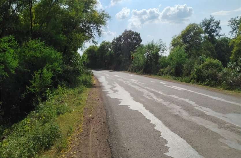 Bushes on both sides at the turn, vehicles not visible मोड़ पर दोनों ओर लगी झाड़ियां, नहीं दिखाई देते वाहन, हादसों की अशंका
