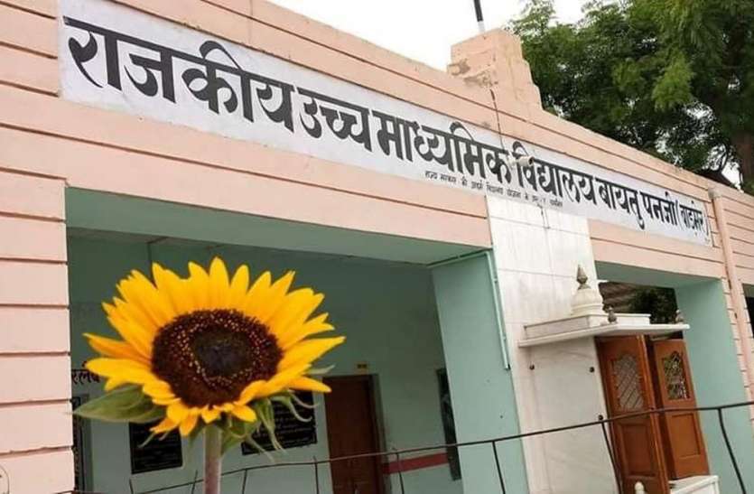बेहतर परिणाम में निजी को पछाड़ रहे सरकारी स्कूल बेहतर परिणाम में निजी को पछाड़ रहे सरकारी स्कूल