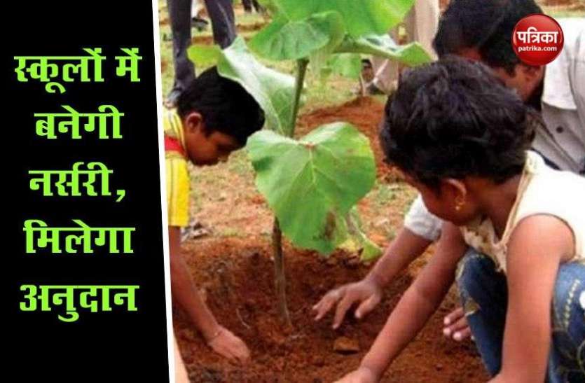 nursery1.jpg नर्सरी योजना में स्कूल होंगे अहम हिस्सा, अब बच्चे पढ़ाई के साथ सीखेंगे पौधरोपण की कला