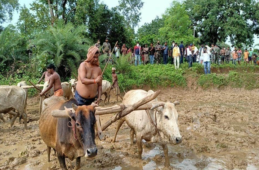 जब मंत्री बने किसान, खेल में हल चलाकर रोपा धान, बोले- समझता हूं किसानों का दर्द जब मंत्री बने किसान, खेत में हल चलाकर रोपा धान, बोले- समझता हूं किसानों का दर्द