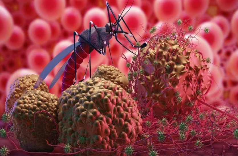 Malaria: इन दिनों मलेरिया से रहें सावधान, जानें इसकी अवस्थाओं और इलाज के बारे में Malaria: इन दिनों मलेरिया से रहें सावधान, जानें इसकी अवस्थाओं और इलाज के बारे में