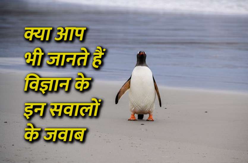 Education, interview, exam, online test, rojgar samachar, interview tips, online exam, Mock Test, general knowledge, GK, interview questions, jobs in hindi, rojgar, competition exam, mock test paper, sarkari job, questions Answers, GK mock test, General Science Questions, Questions and answers, common general knowledge questions and answers, common general knowledge questions and answers General Science Questions: क्या आप भी जानते हैं विज्ञान से जुड़े इन सवालों के जवाब