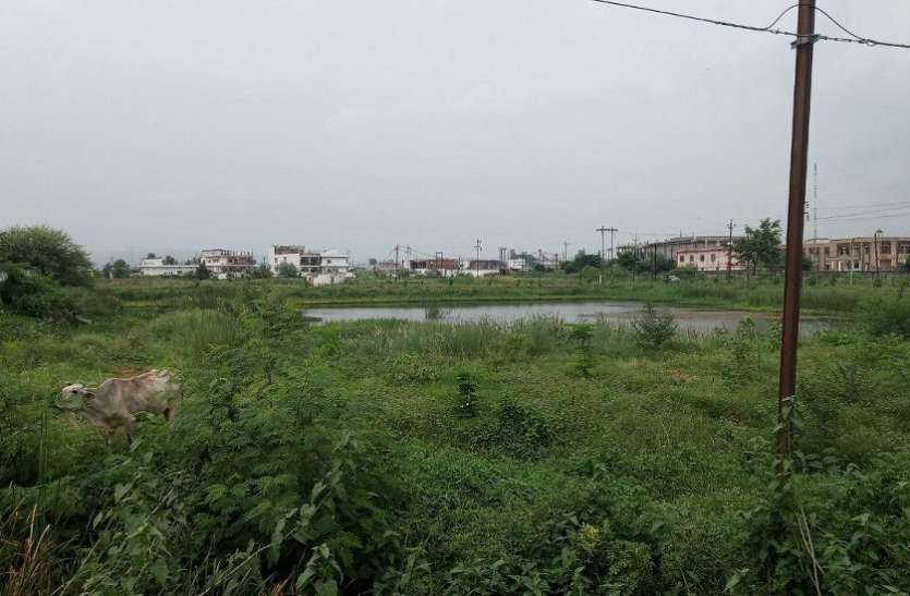 nagar nigam could not beautify ponds under Singrauli 2020 plan लक्ष्य 20 तालाबों के जीर्णोद्धार का, एक की भी नहीं बदली सूरत