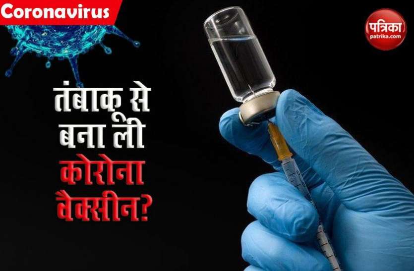 coronavirus_vaccine_from_tobacco.jpg Cigarette बनाने वाली कंपनी ने तंबाकू से बना ली Corona vaccine, जल्द होगा Human Trial