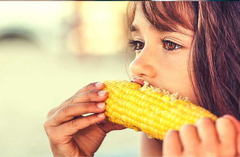 बारिश के मौसम में खाएं भुट्टा, होंगे कई फायदे, जानें इनके बारे में बारिश के मौसम में खाएं भुट्टा, होंगे कई फायदे, जानें इनके बारे में