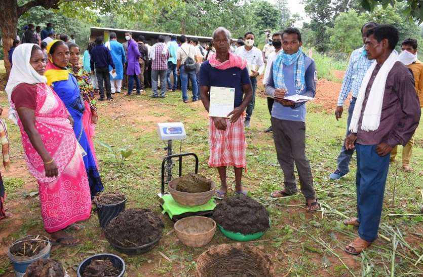 गोबर से अब रतिराम की प्रतिदिन हो रही है कमाई गोबर से अब रतिराम की प्रतिदिन हो रही है कमाई