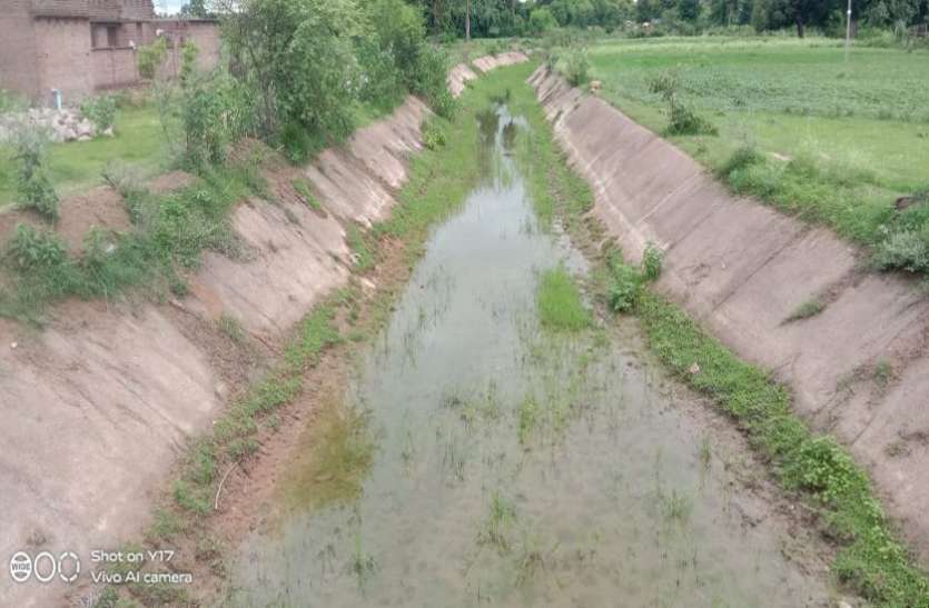 Increased concern of farmers बारिश न होने से तालाबों में नहीं पहुंचा पानी, हरपुरा नहर चालू कराने ग्रामीणों ने की मांग