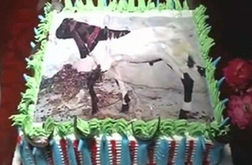 cake.jpg बकरीद पर कुर्बानी का नया तरीका, केक पर बकरा बनाकर काटा, चाराें ओर हाे रही तारीफ